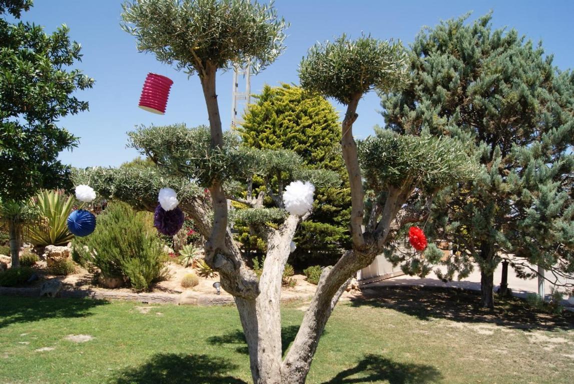 Los Jardines De Lola Daimés 外观 照片