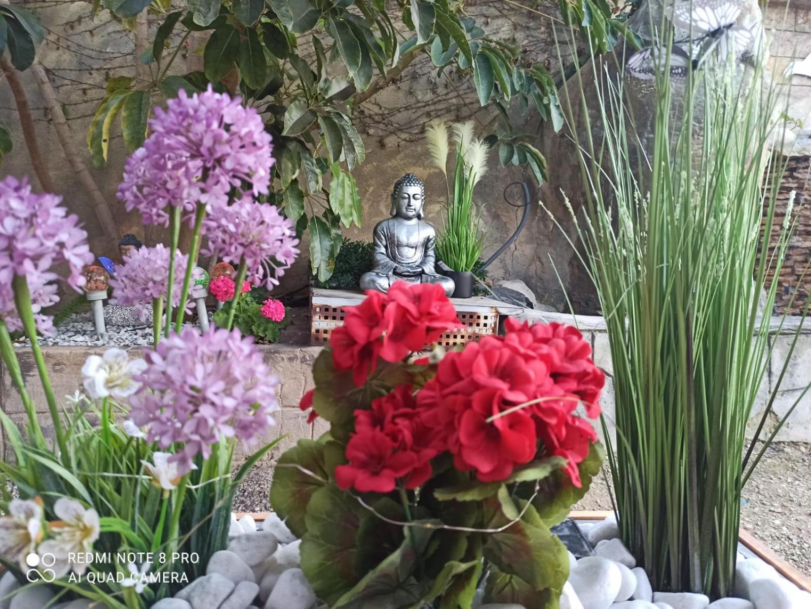 Los Jardines De Lola Daimés 外观 照片