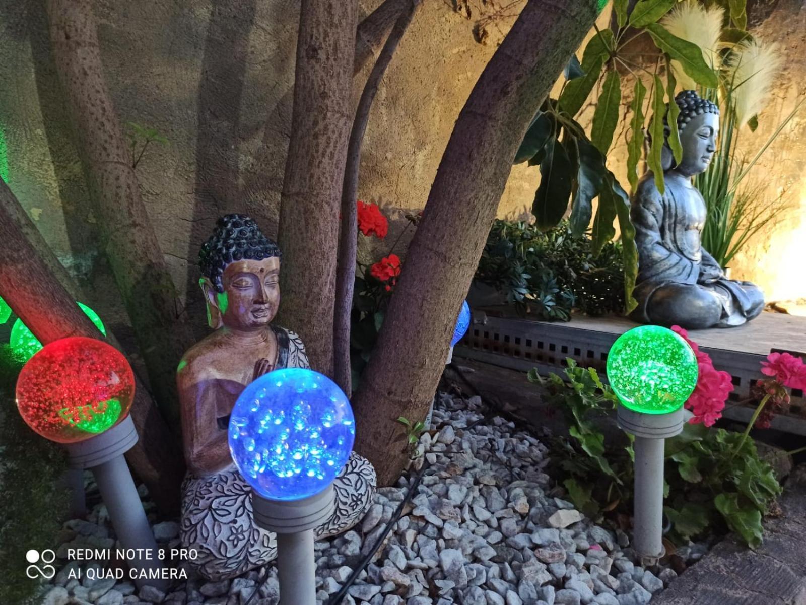 Los Jardines De Lola Daimés 外观 照片